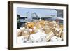 Sailors Stage Mail to Be Moved to the Hangar Bay-null-Framed Premium Photographic Print