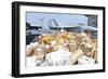 Sailors Stage Mail to Be Moved to the Hangar Bay-null-Framed Premium Photographic Print