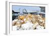 Sailors Stage Mail to Be Moved to the Hangar Bay-null-Framed Premium Photographic Print