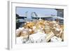 Sailors Stage Mail to Be Moved to the Hangar Bay-null-Framed Photographic Print