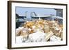 Sailors Stage Mail to Be Moved to the Hangar Bay-null-Framed Photographic Print