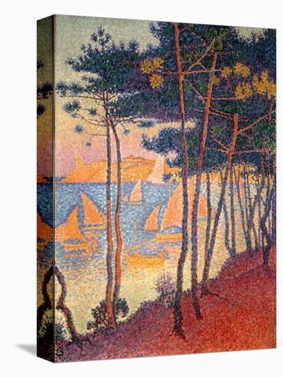 Sails and Pines-Paul Signac-Stretched Canvas