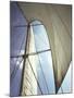 Sails Cathedral-Magda Indigo-Mounted Photographic Print