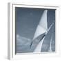 Sails-null-Framed Photographic Print