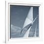 Sails-null-Framed Photographic Print