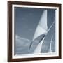 Sails-null-Framed Photographic Print