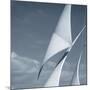 Sails-null-Mounted Photographic Print