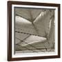 Sails-null-Framed Photographic Print