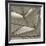 Sails-null-Framed Photographic Print