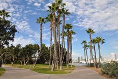 Palm Trees at Coronado Island in San Diego, California-sainaniritu-Photographic Print