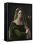 Saint Agatha, C.1540-Sebastiano del Piombo-Framed Stretched Canvas