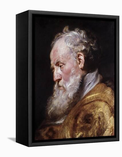 Saint Ambrose-Peter Paul Rubens-Framed Stretched Canvas