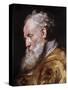 Saint Ambrose-Peter Paul Rubens-Stretched Canvas