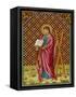 Saint Andrew Apostle Martyr Saint Depicted with His Cross-null-Framed Stretched Canvas