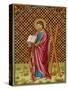 Saint Andrew Apostle Martyr Saint Depicted with His Cross-null-Stretched Canvas