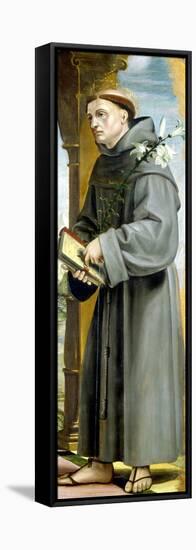 Saint Anthony of Padua-Bernardo Zenale-Framed Stretched Canvas