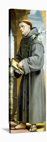 Saint Anthony of Padua-Bernardo Zenale-Stretched Canvas