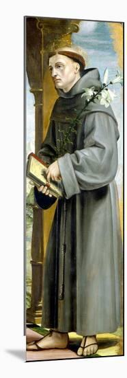 Saint Anthony of Padua-Bernardo Zenale-Mounted Premium Giclee Print