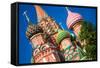 Saint Basil's Cathedral-Petit Group-Framed Stretched Canvas