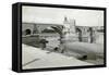 Saint Benezet Bridge-Chris Hellier-Framed Stretched Canvas