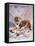 Saint Bernard Finds a Man Trapped in the Snow-A. Scott Rankin-Framed Stretched Canvas