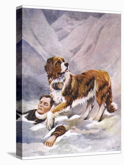 Saint Bernard Finds a Man Trapped in the Snow-A. Scott Rankin-Stretched Canvas