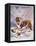 Saint Bernard Finds a Man Trapped in the Snow-A. Scott Rankin-Framed Stretched Canvas