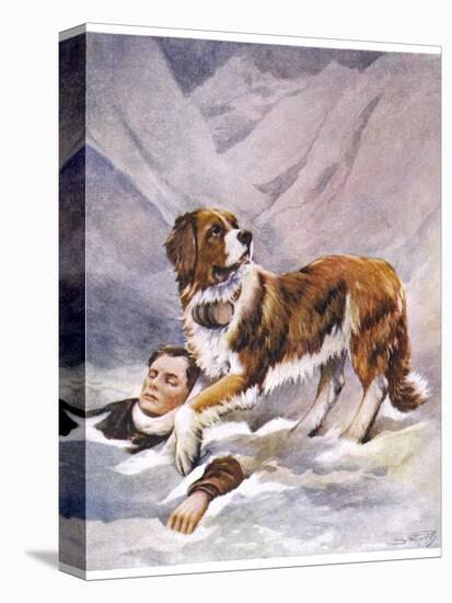 Saint Bernard Finds a Man Trapped in the Snow-A. Scott Rankin-Stretched Canvas