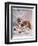 Saint Bernard Finds a Man Trapped in the Snow-A. Scott Rankin-Framed Photographic Print