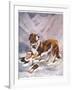 Saint Bernard Finds a Man Trapped in the Snow-A. Scott Rankin-Framed Photographic Print