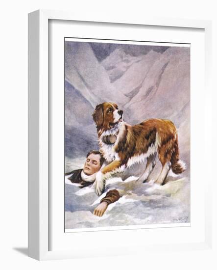 Saint Bernard Finds a Man Trapped in the Snow-A. Scott Rankin-Framed Photographic Print