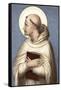 Saint Bernard of Clairvaux-null-Framed Stretched Canvas