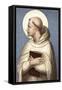 Saint Bernard of Clairvaux-null-Framed Stretched Canvas