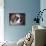 Saint Bernard Puppy Portrait-Jai Johnson-Giclee Print displayed on a wall