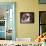 Saint Bernard Puppy Portrait-Jai Johnson-Framed Stretched Canvas displayed on a wall