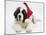 Saint Bernard Puppy, Vogue, Wearing a Father Christmas Hat-Mark Taylor-Mounted Photographic Print