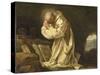 Saint Bruno en prière dans le désert-Jean Bernard Restout-Stretched Canvas