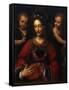 Saint Catherine, 1527-1531-Bernardino Luini-Framed Stretched Canvas