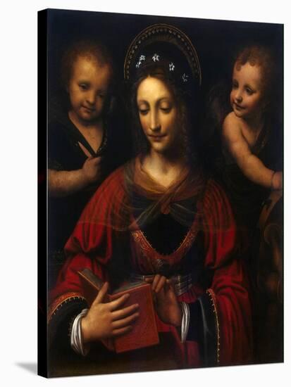 Saint Catherine, 1527-1531-Bernardino Luini-Stretched Canvas