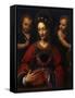 Saint Catherine, 1527-1531-Bernardino Luini-Framed Stretched Canvas