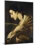 Saint Catherine of Alexandria-Il Volterrano-Mounted Giclee Print