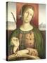 Saint Catherine of Alexandria-Francesco Zaganelli di Bosio-Stretched Canvas