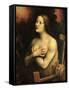 Saint Catherine of Alexandria-Giampietrino-Framed Stretched Canvas