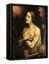 Saint Catherine of Alexandria-Giampietrino-Framed Stretched Canvas
