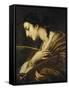 Saint Catherine of Alexandria-Il Volterrano-Framed Stretched Canvas