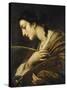 Saint Catherine of Alexandria-Il Volterrano-Stretched Canvas