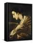 Saint Catherine of Alexandria-Il Volterrano-Framed Stretched Canvas