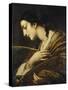 Saint Catherine of Alexandria-Il Volterrano-Stretched Canvas