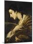 Saint Catherine of Alexandria-Il Volterrano-Mounted Giclee Print