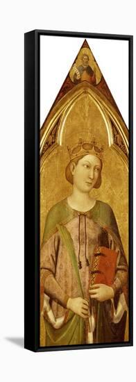 Saint Catherine-Jacopo Del Casentino-Framed Stretched Canvas